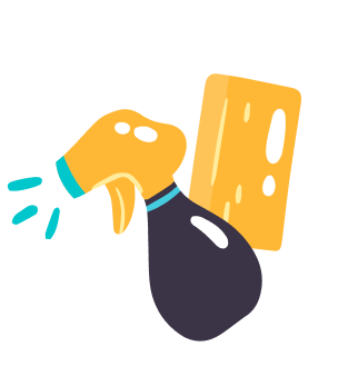cleaning objects